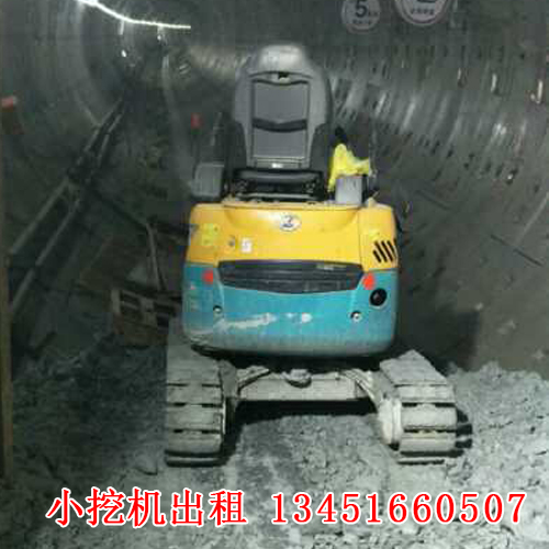 微型小挖機(jī)租賃的應(yīng)用廣泛，今天帶大家來了解一下！(圖1)